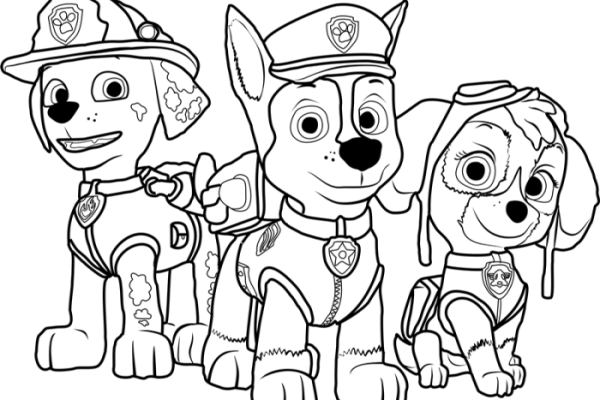 Paw patrol coloring book