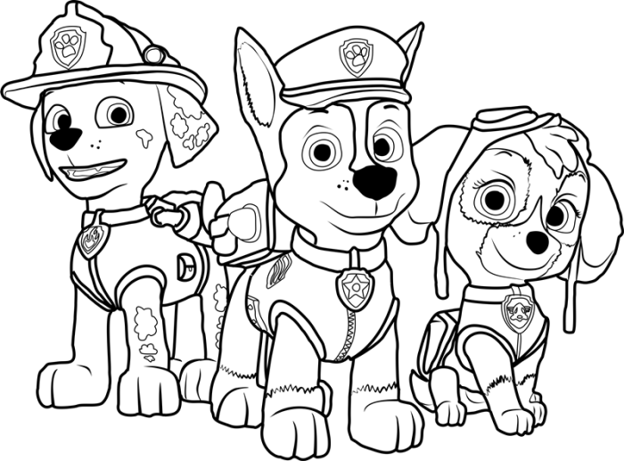 Paw patrol coloring book