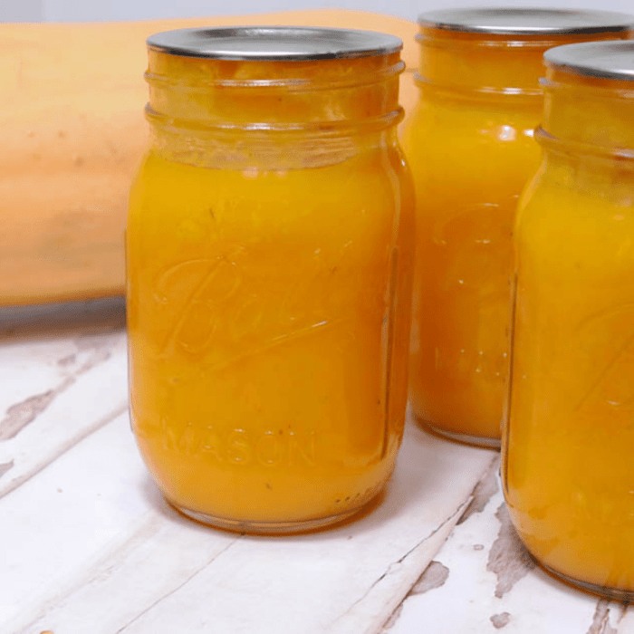 Canned butternut squash soup recipe