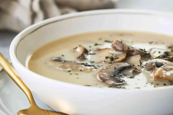 Can of cream of mushroom soup recipes