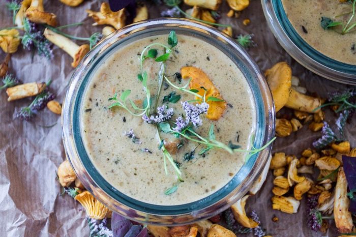 Chanterelle mushroom soup recipes